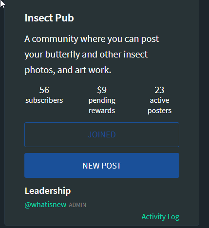 2020-02-20 16_01_52-Insect Pub _ trending — Steemit.png