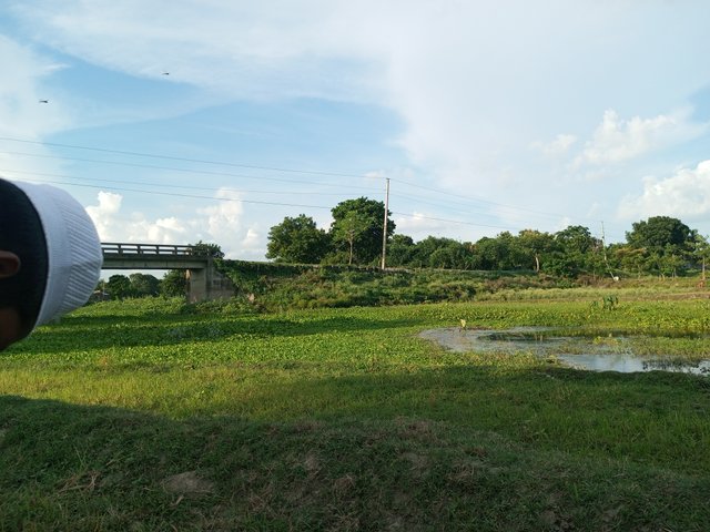 IMG_20230724_172752_073.jpg