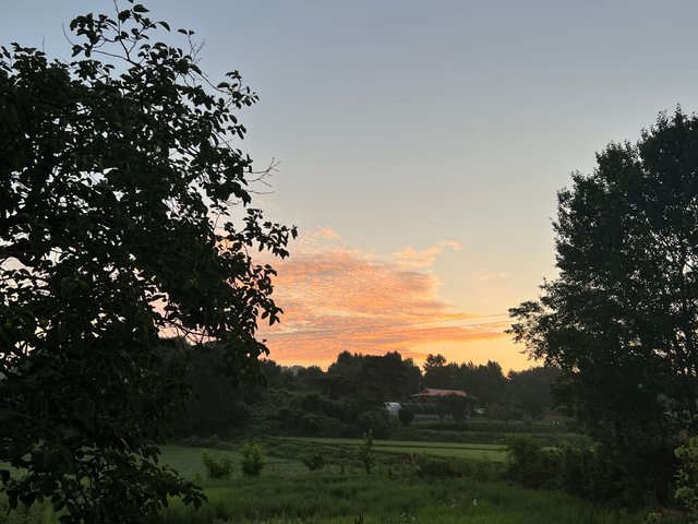 IMG_3148.jpeg