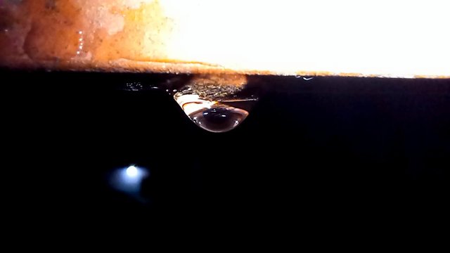 IMG-20250712-WA0013.jpg