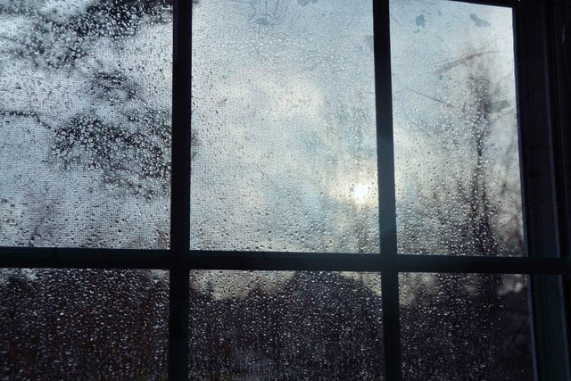 rainy-window-2-15-2014-4-47-19-pm.jpg
