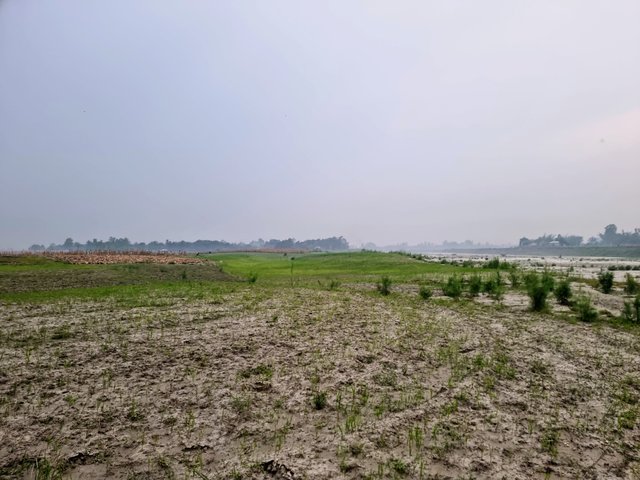 20230430_180519~2.jpg