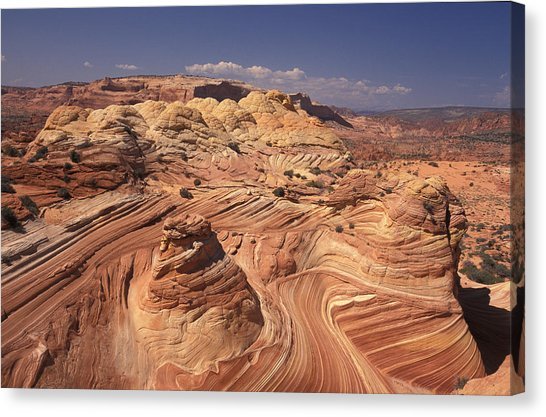 eroded-navajo-sandstone-colorado-plateau-mark-newman-canvas-print.jpg