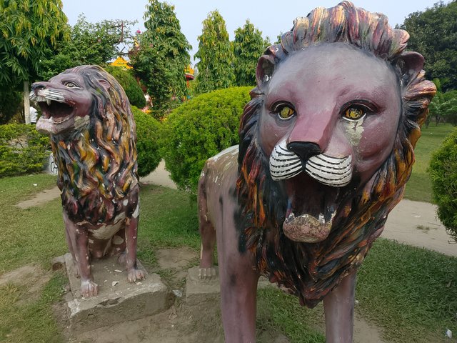 1000041034.jpg
