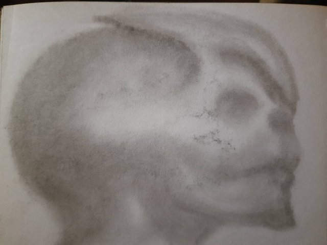 20250501_104943.jpg