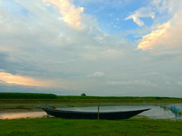 IMG_20250625_070311.jpg
