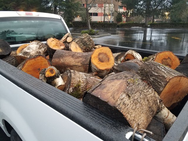 wood-collected.jpg