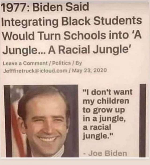 Joe Biden Racist.jpg