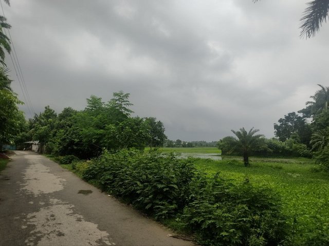 IMG_20250805_221134_110.jpg