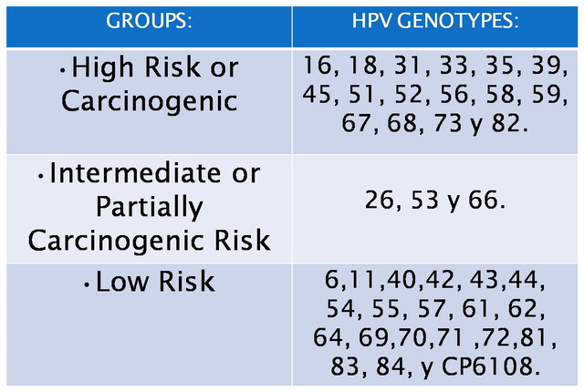 hpv high risk serotypes