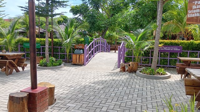 20250824_150346.jpg