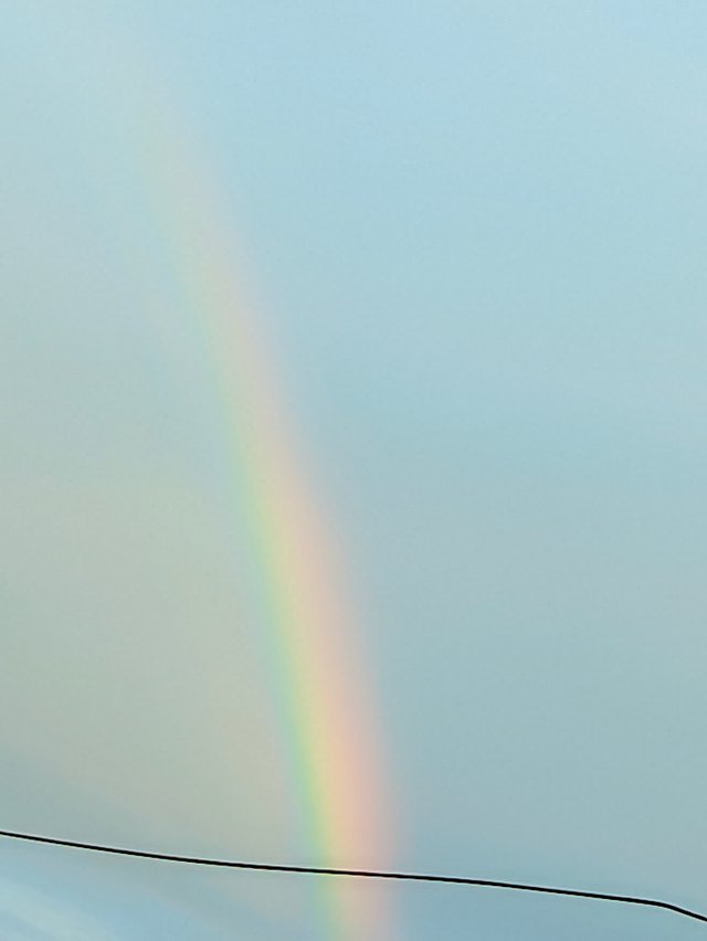 1000019791.jpg