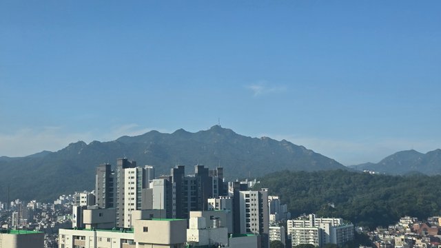 1000127534.jpg