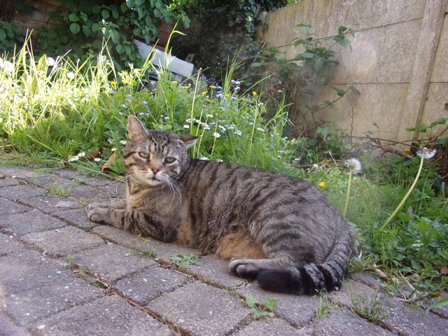 100_2617.JPG