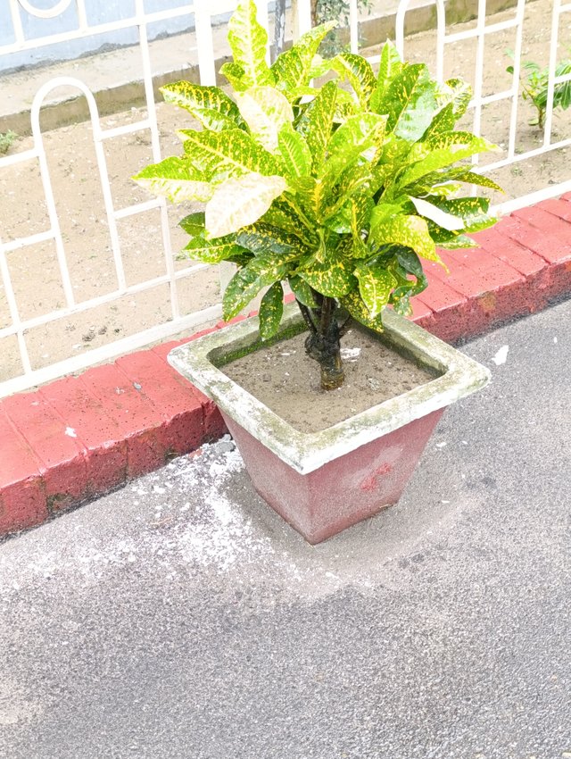 1000008410.jpg