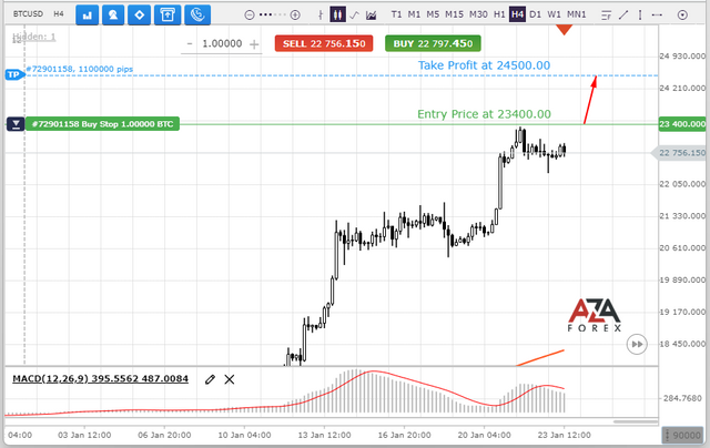 BTCUSD-23-01-2023-l.png