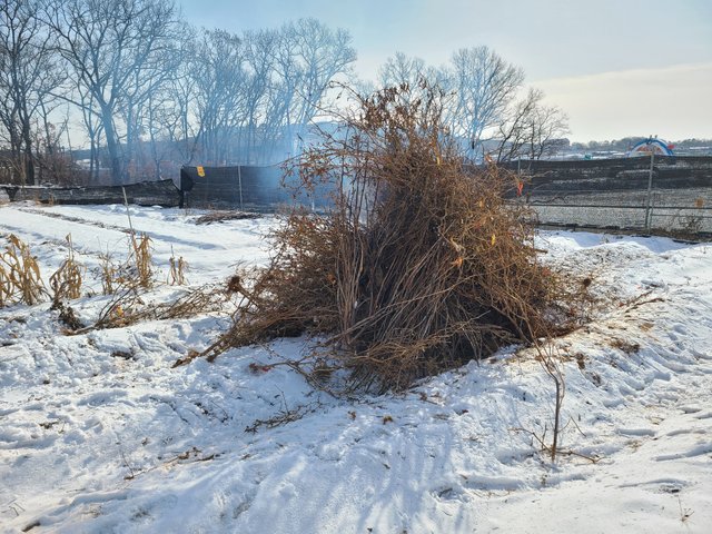 20221216_121551.jpg