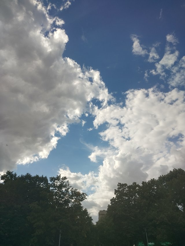 IMG_20250915_161744_HDR.jpg