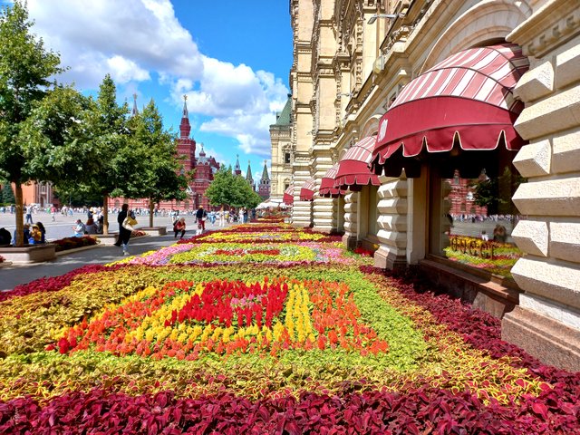 20220719_113106.jpg