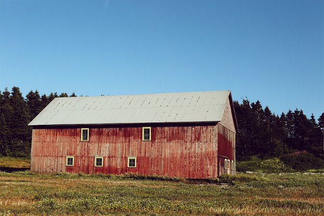 barn2.jpg