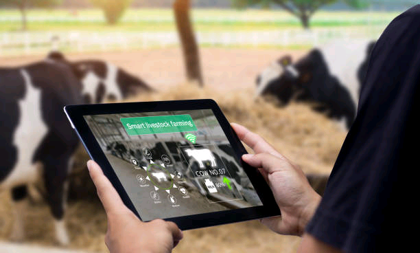 smart-agritech-livestock-farming.jpg