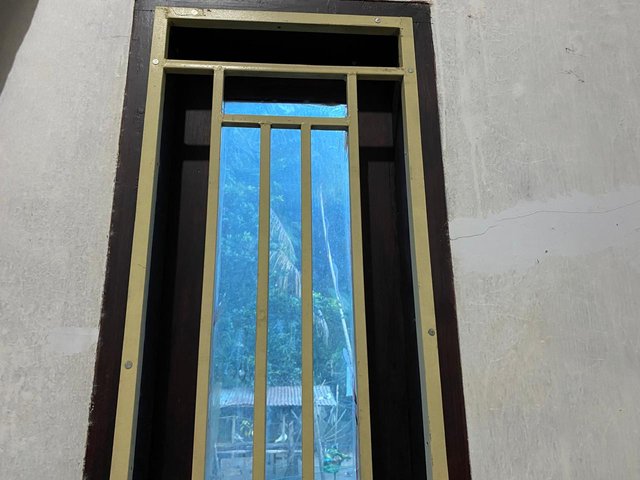 1000217329.jpg