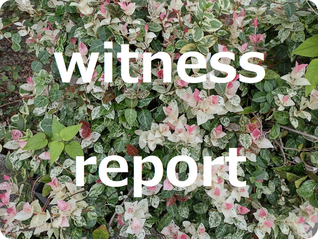 witness_cover.png