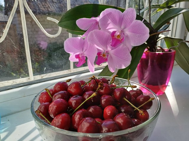 20240528_180156.jpg