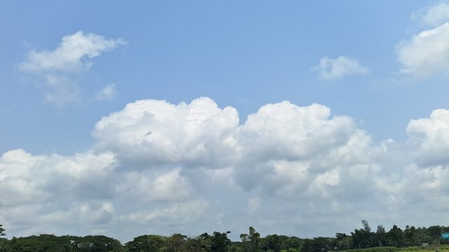 20250426_124913.jpg