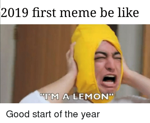 2019-first-meme-be-like-im-a-lemon-good-start-39391976.png