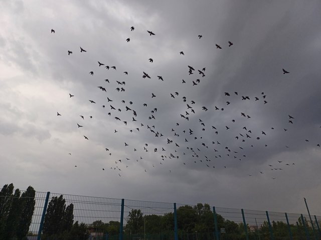 20250626_054451.jpg