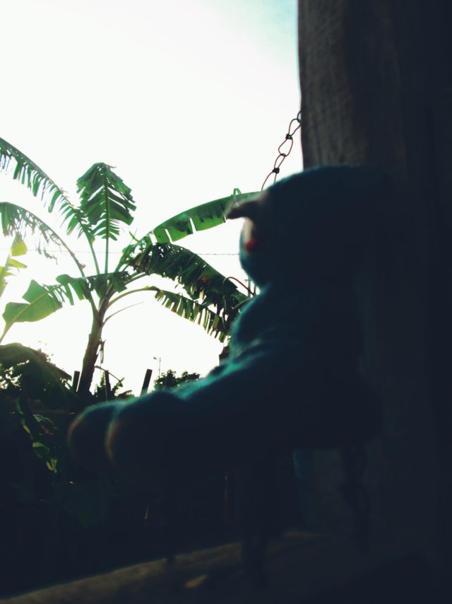 InShot_20210501_100939217.jpg