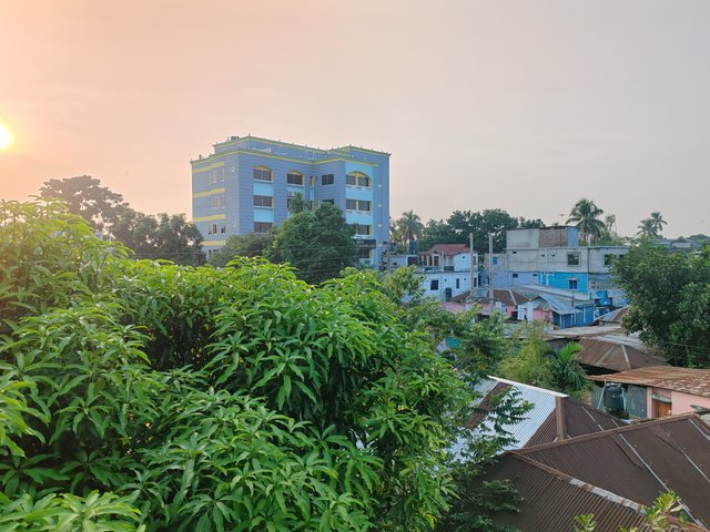 1000063385.jpg