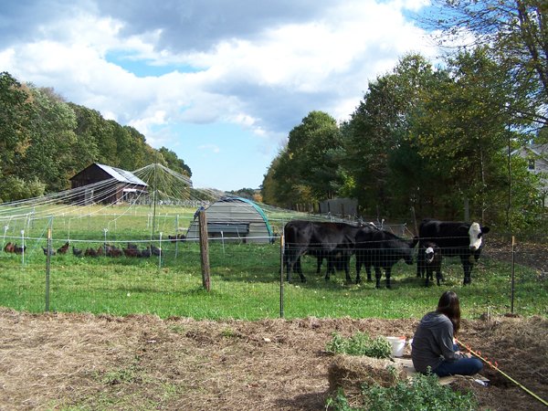 Garlic - planting supervisors and Arissa crop Oct. 2018.jpg