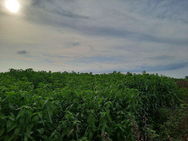 20250530_162342.jpg