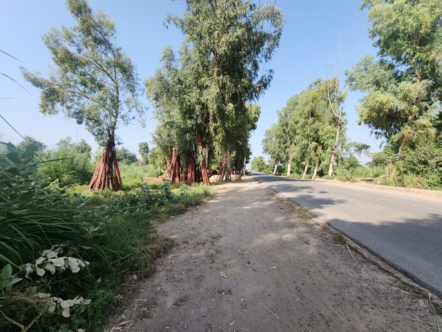 1000409148.jpg