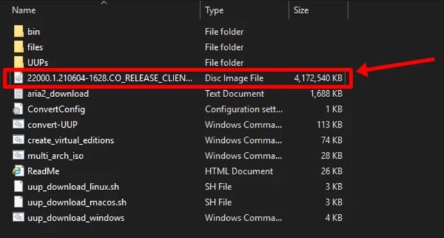 The downloaded Windows 11 Insider Preview ISO file stored inside the extracted folder.