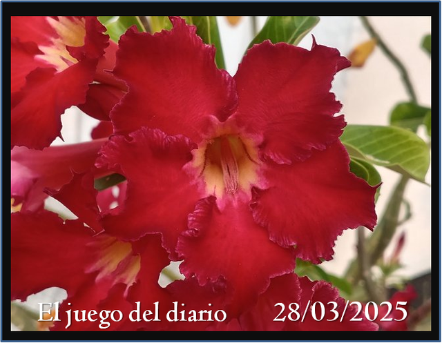 imagen.png