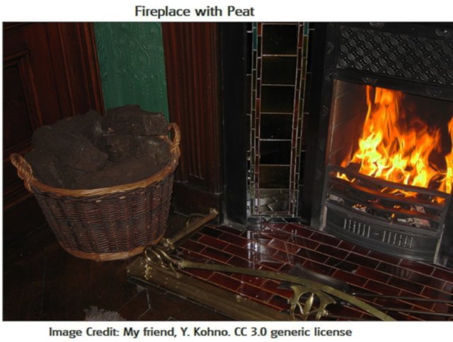 Fireplace2 with_Peat my friend, Y. Kohno 3.0.jpg