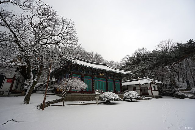 w-DSC00068.jpg