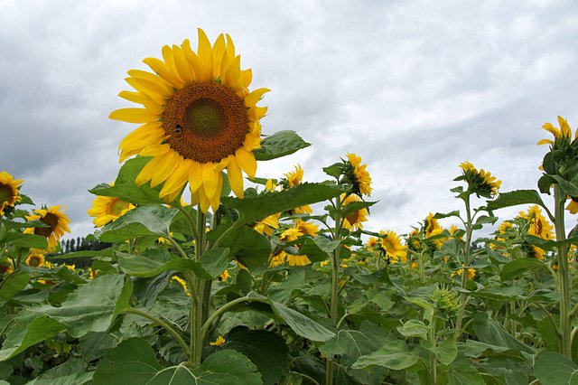 Japan-Hokkaido12802-1151.jpg