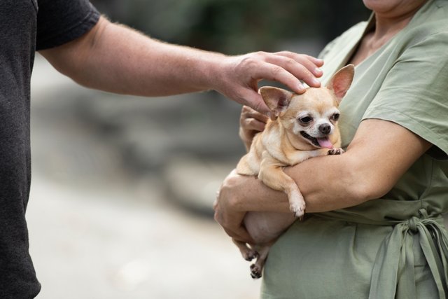 woman-going-walk-with-her-dog.jpg