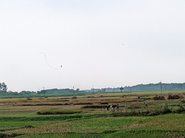 1000033790.jpg