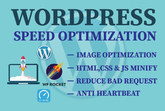 I will optimize a wordpress website and increase page speed.jpg