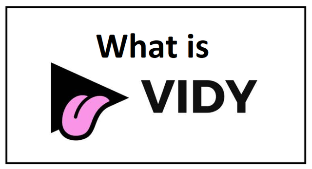 What is Vidy.png