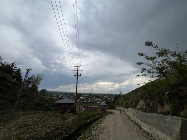 IMG_3357.jpeg