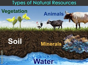 types-of-natural-resources.jpg