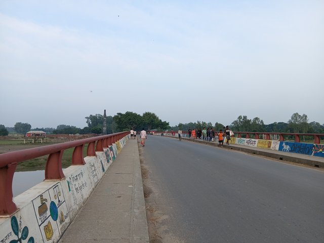 8251.jpg