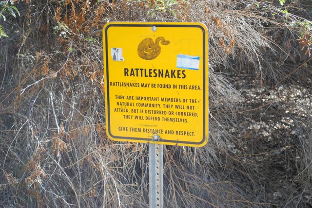 Rattlesnakes resize.jpg