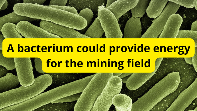 A bacterium could provide energy for the mining field.png